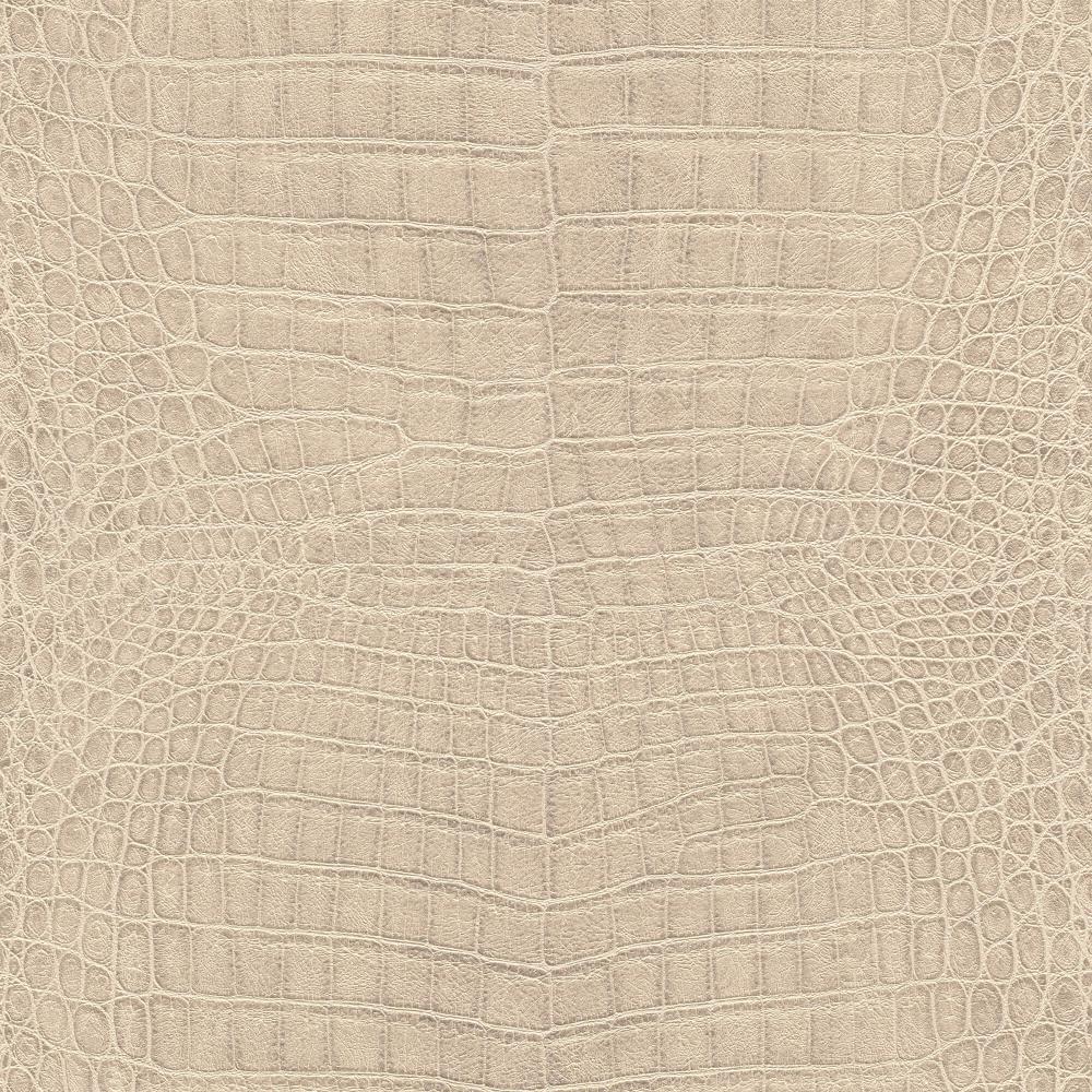 Rasch African Queen III 751345