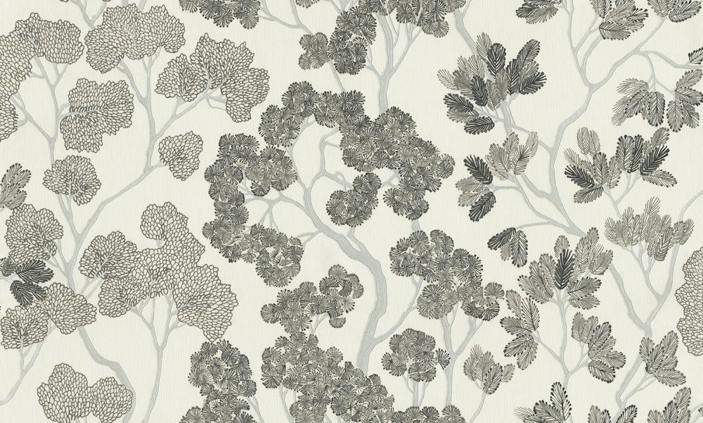 Studio Italia Collection Miraviglia MV 20004