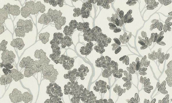 Studio Italia Collection Miraviglia MV 20004