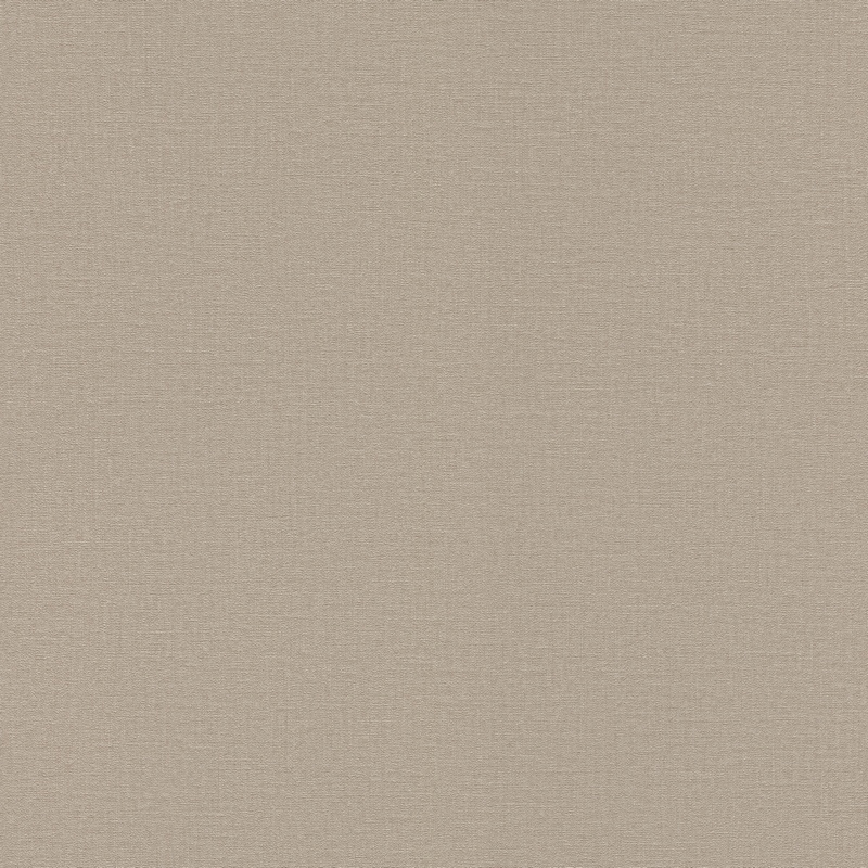 Rasch Natural Colors 555868