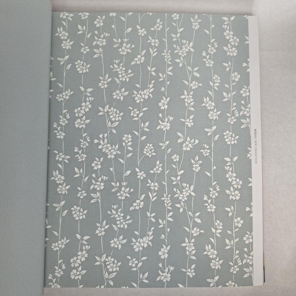 Andrea Rossi Berggi 54451-7