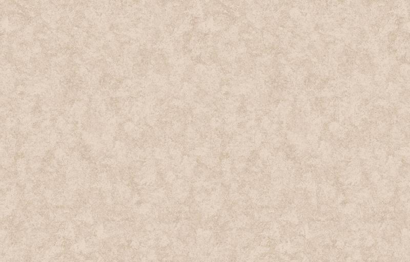 Loymina Shade SD3 002_1