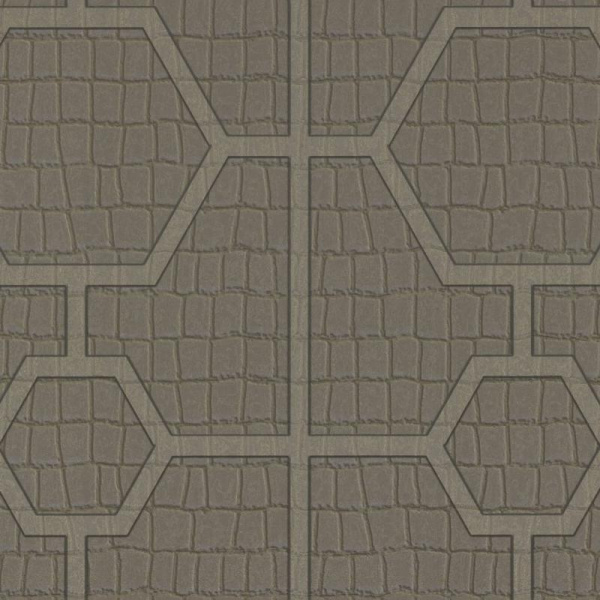 Zambaiti Parati Philipp Plein Z 80033