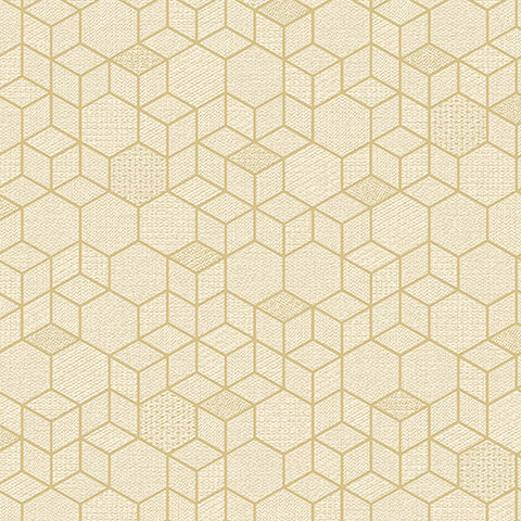 Andrea Rossi Arlequin 54302-2