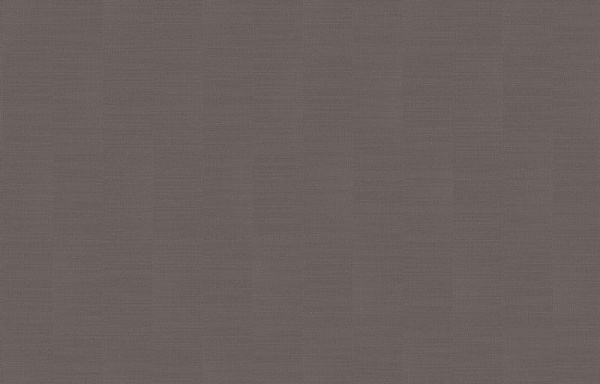 Loymina Shade SDR2 009