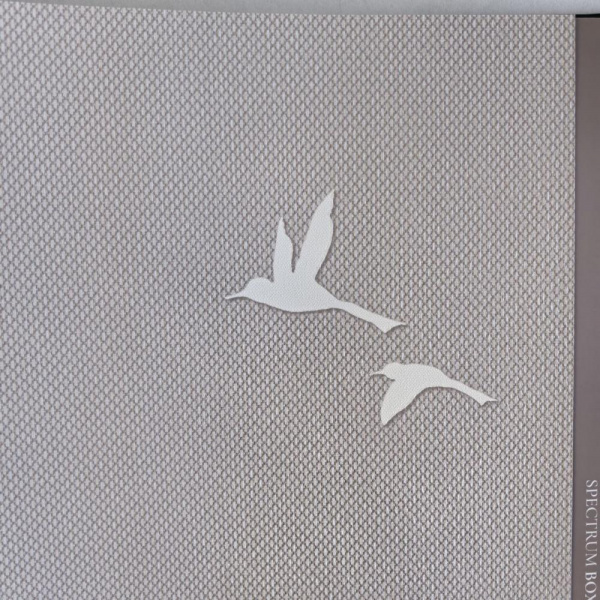 Andrea Rossi Spectrum Box 54458-11