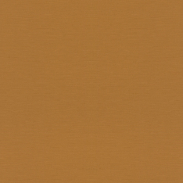 Rasch Natural Colors 688054