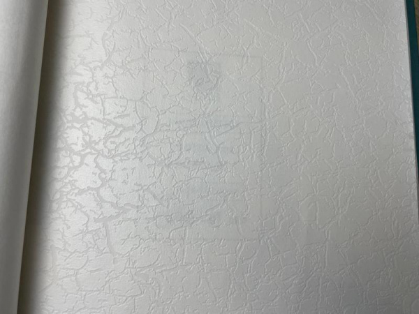 NC Antivandal 4010-21